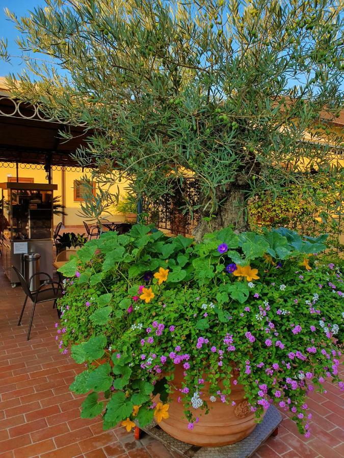 "La Terrazza Di Castiglione" Appartamenti Vacanza Castiglione della Pescaia Exterior foto